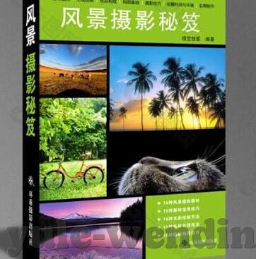 体育足球比分网-体育足球比分网，球迷的数字战场与信息革命