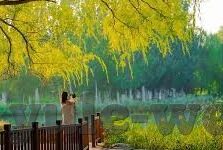 足球即时指数捷报比分-足球即时指数揭秘，捷报比分背后的数据博弈与观赛新体验